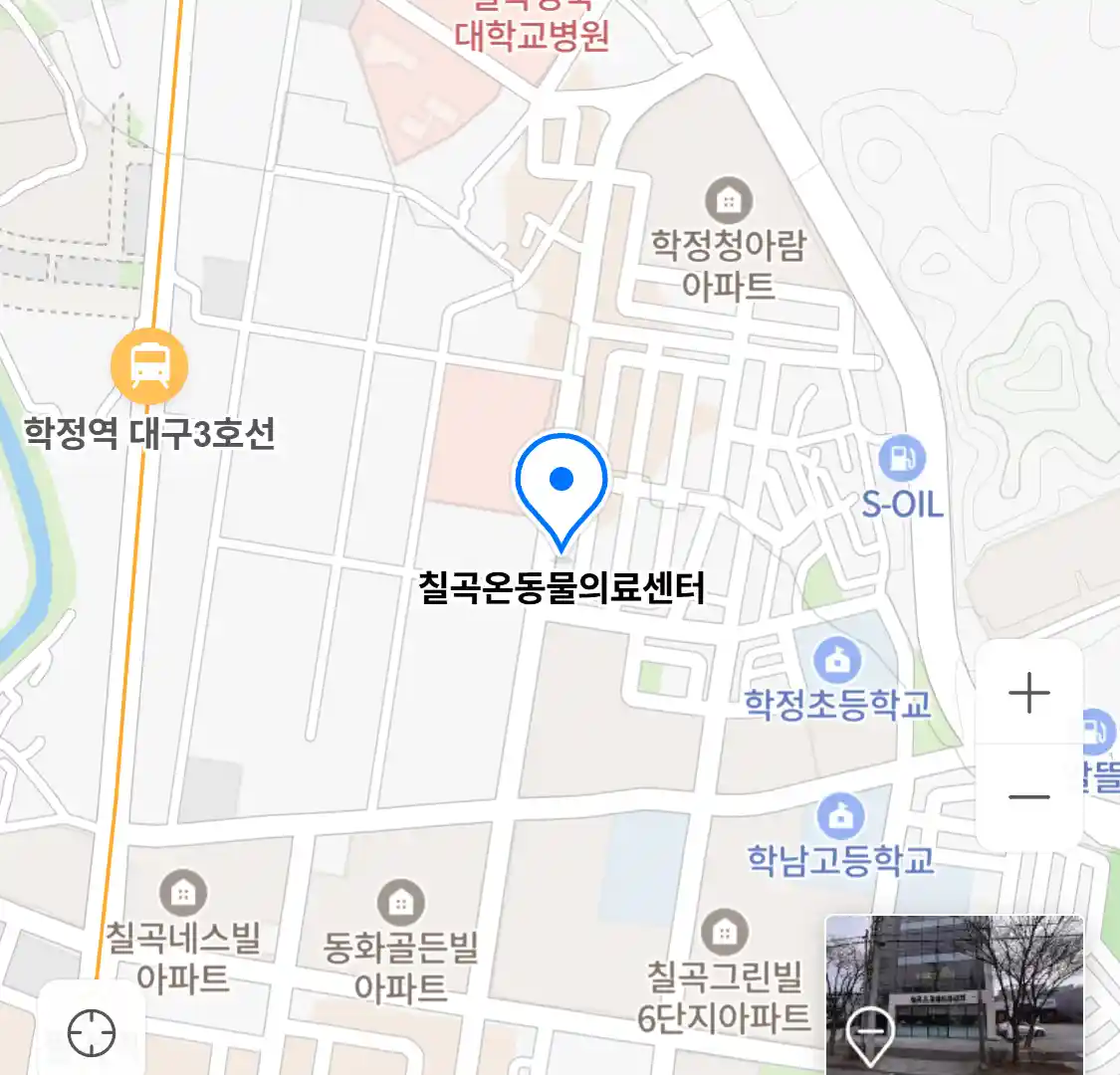 칠곡온동물의료센터