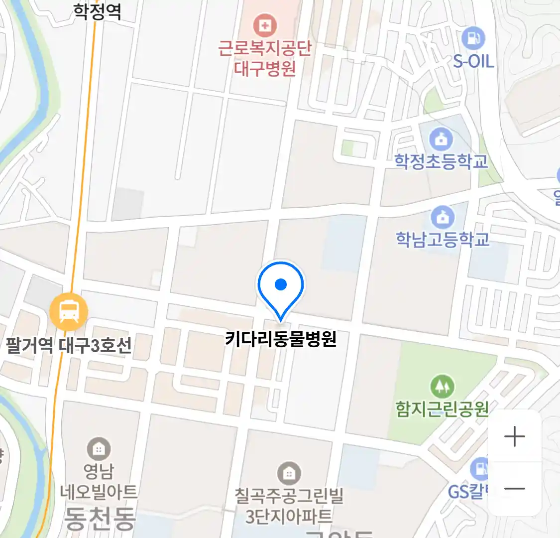 키다리동물병원