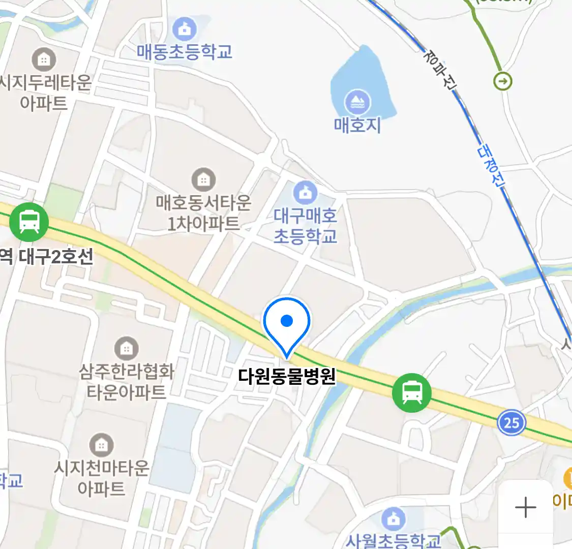 다원동물병원 위치