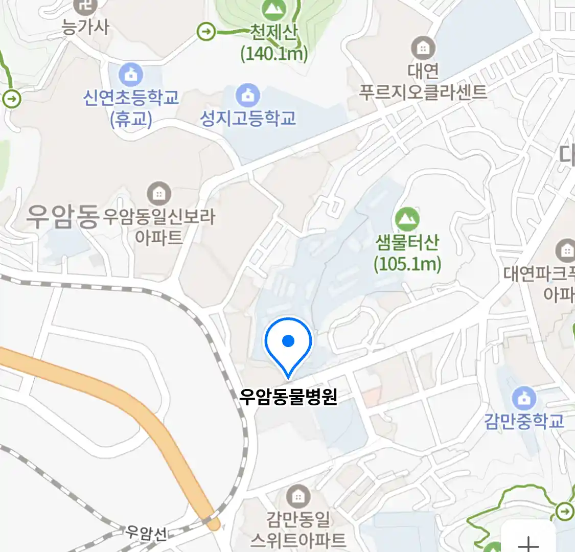 우암동물병원 위치