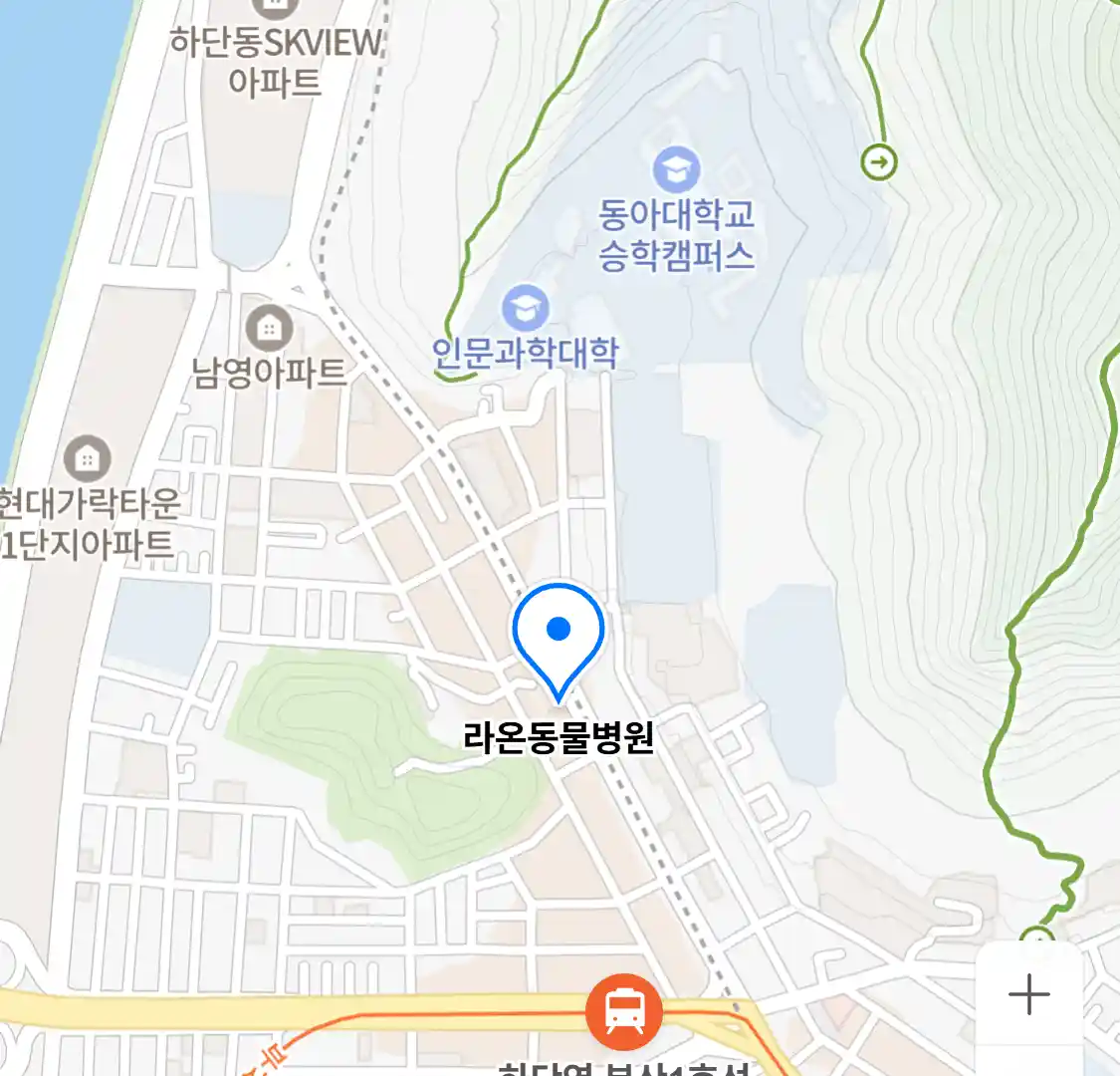 라온동물병원 위치