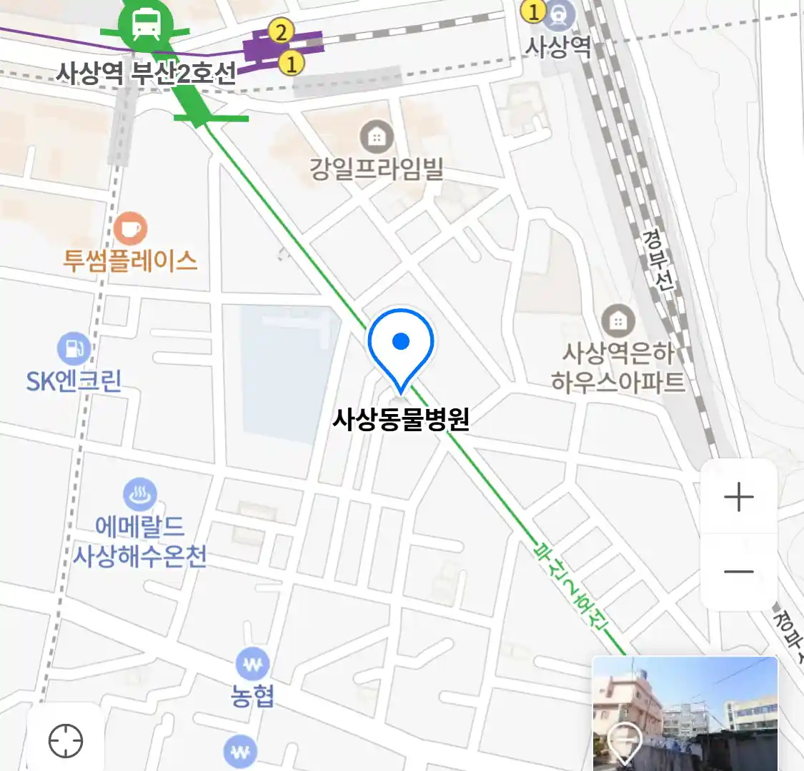 사상동물병원 위치