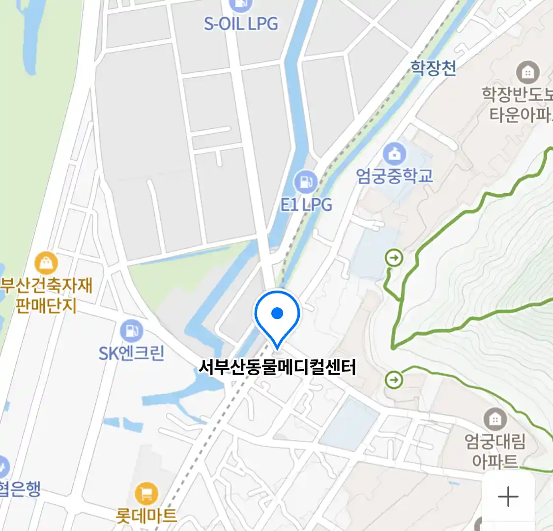 서부산동물메디컬센터 위치