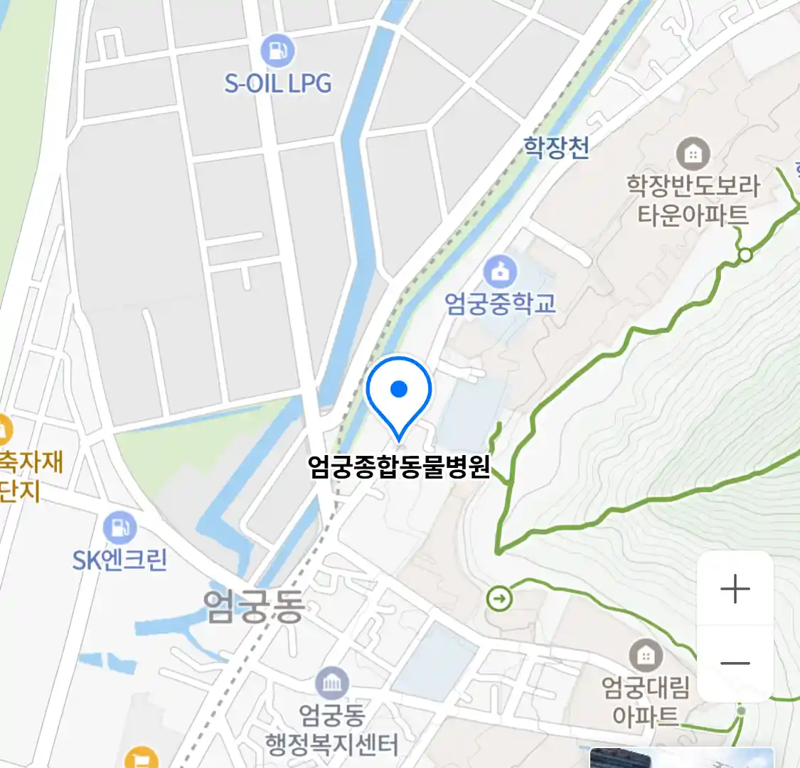 엄궁종합동물병원 위치