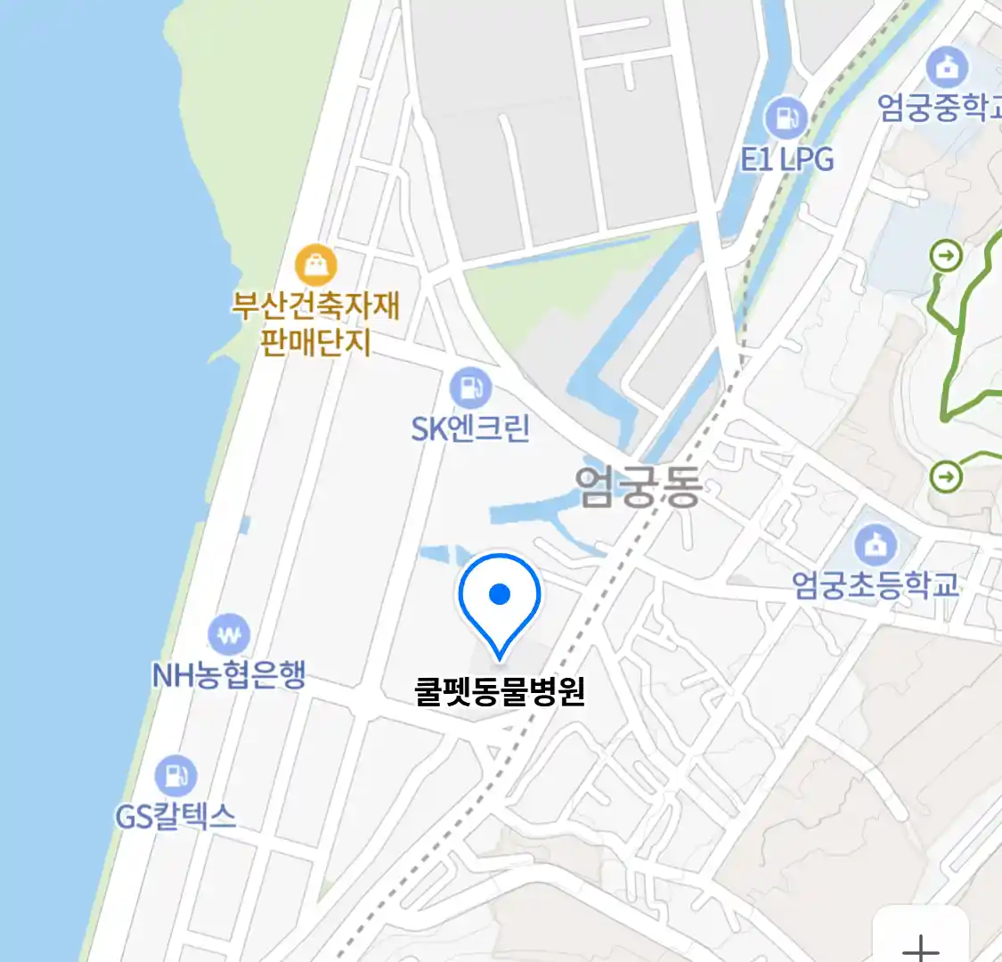 쿨펫동물병원 위치