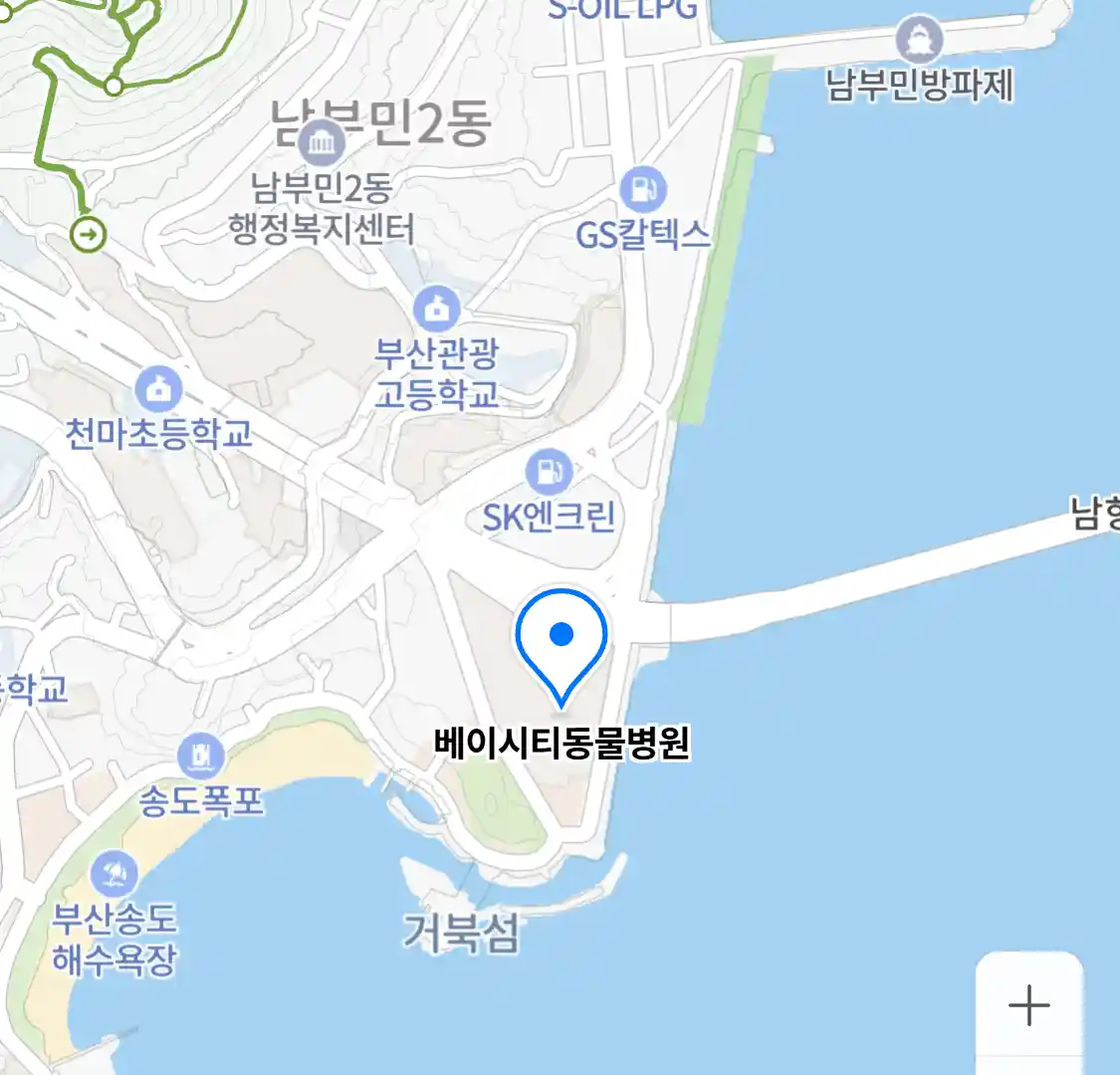 베이시티동물병원 위치
