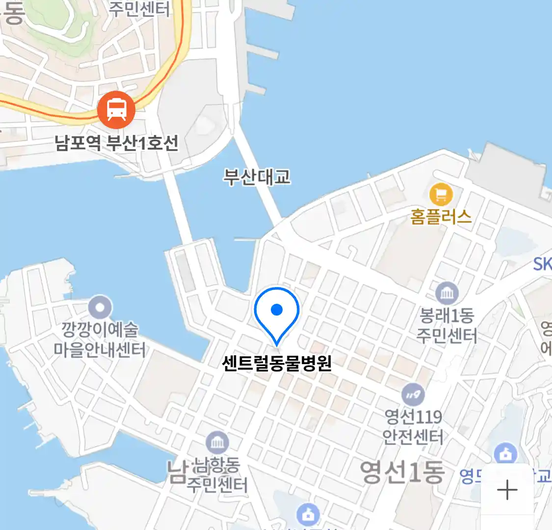 센트럴동물병원 위치