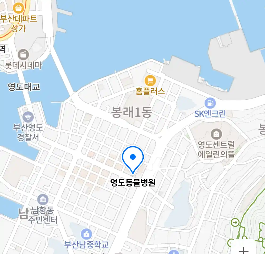 영도동물병원 위치