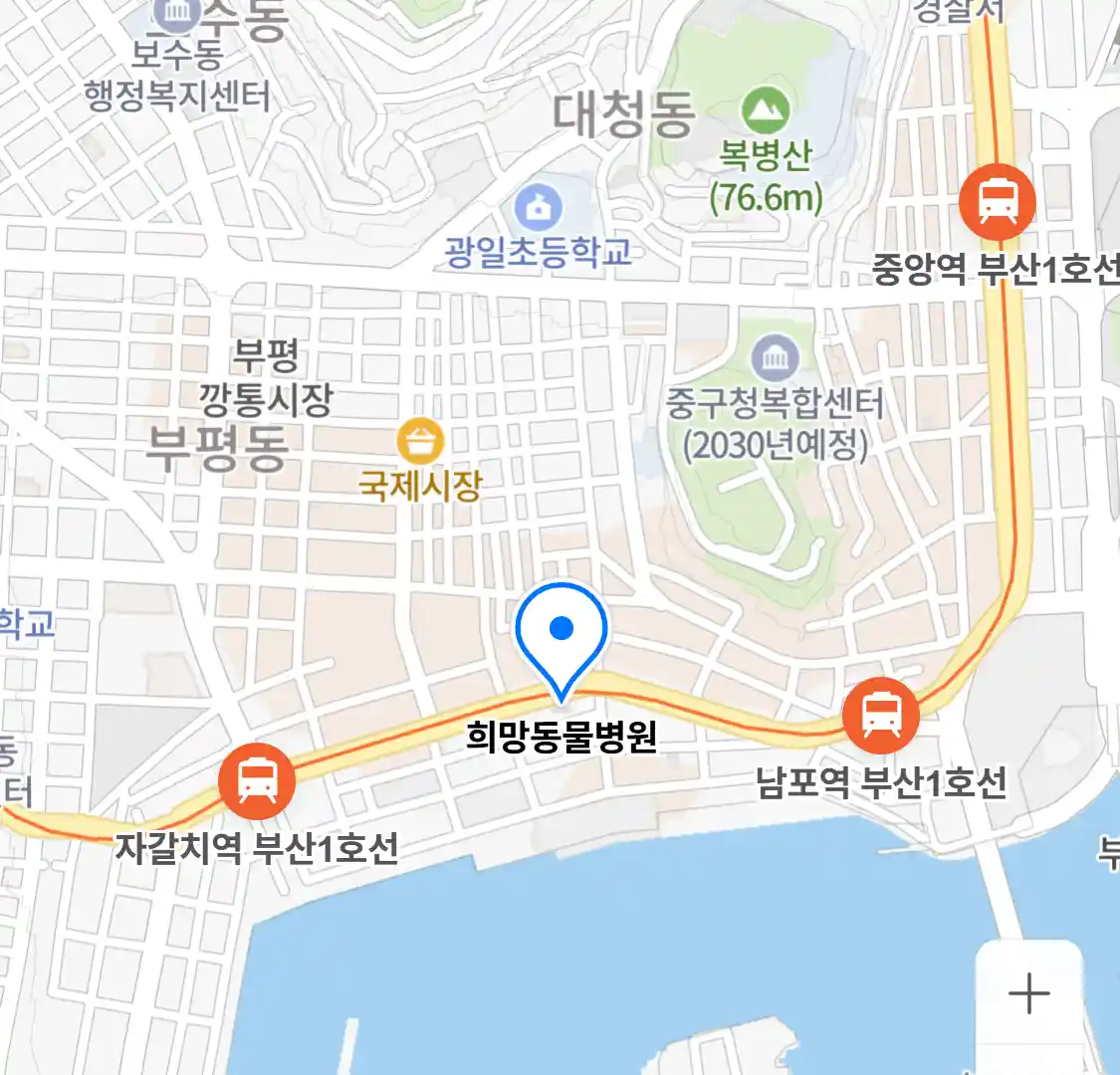 희망동물병원 위치