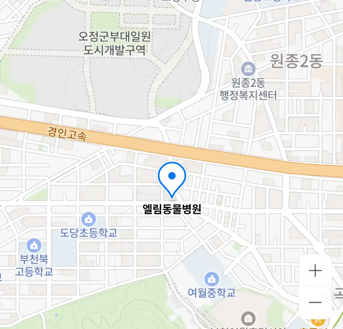 엘림동물병원 위치