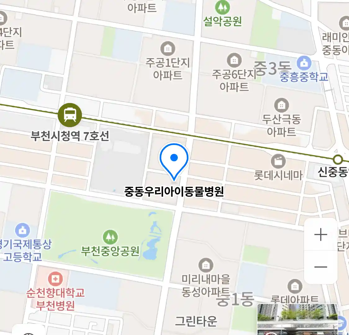 중동우리아이동물병원 위치