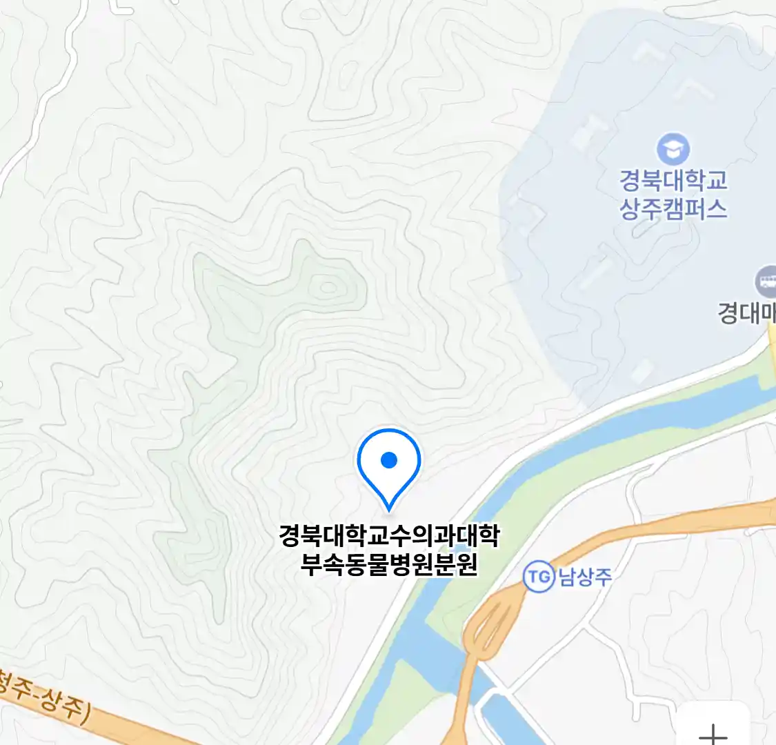 경북대학교수의과대학부속동물병원분원