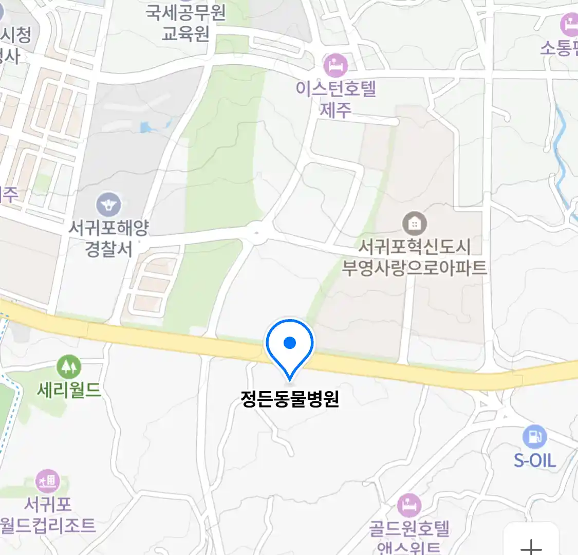 정든동물병원