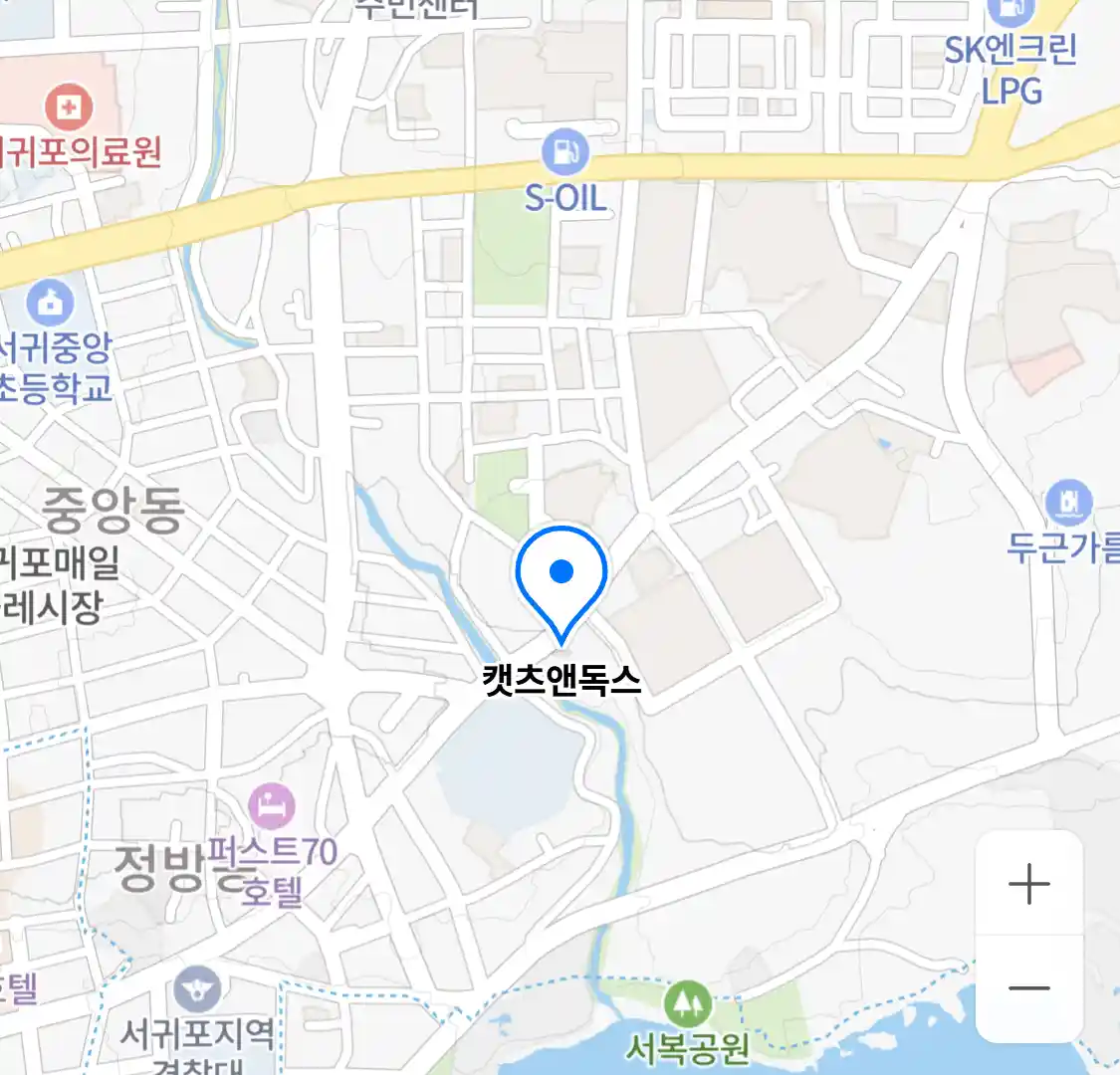 캣츠앤독스
