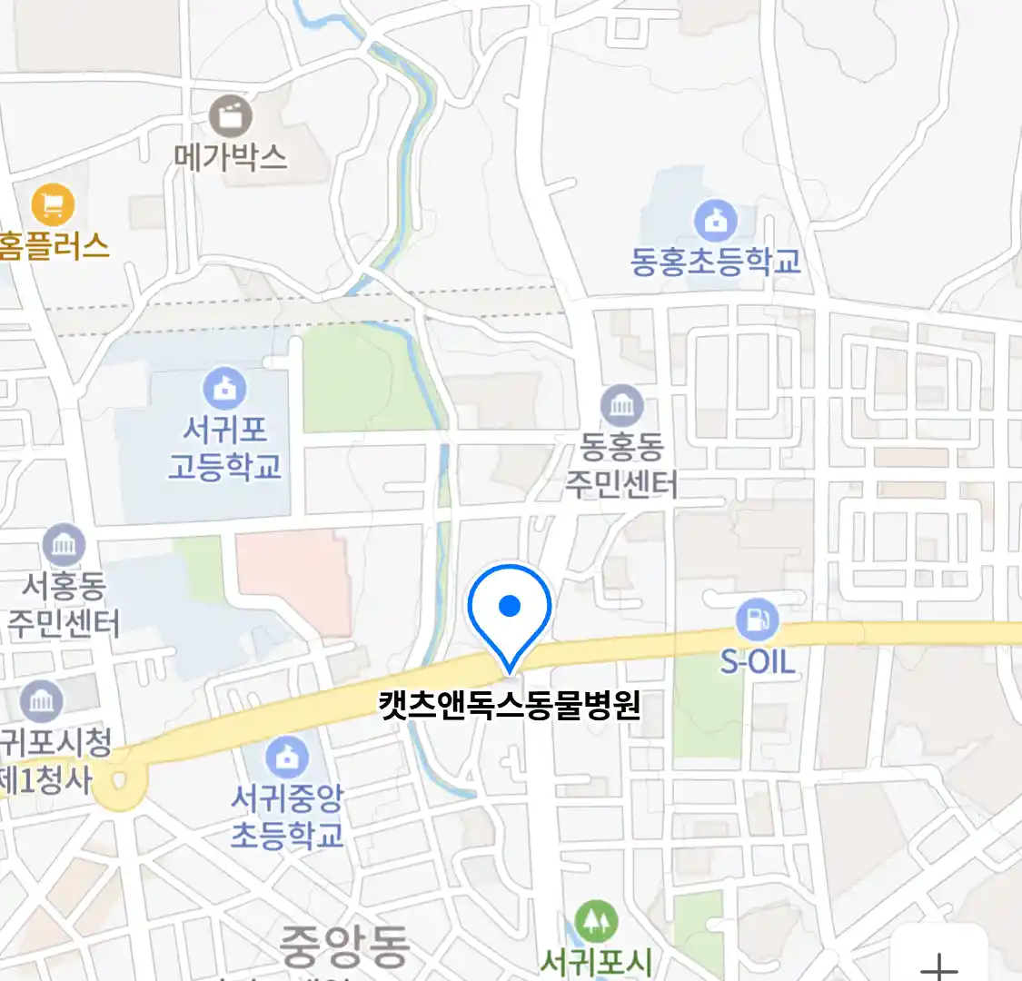 캣츠앤독스동물병원