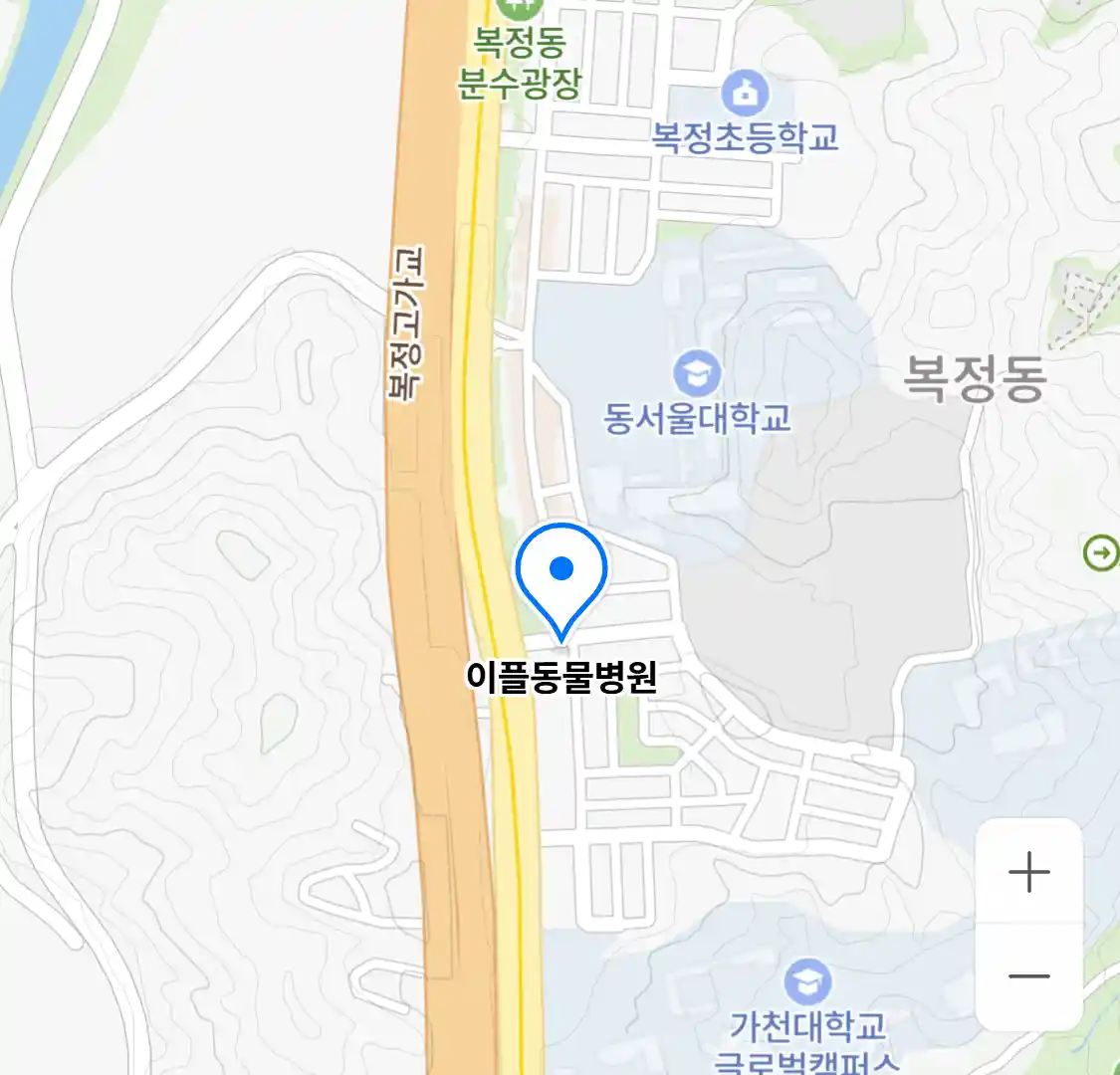 이플동물병원 위치