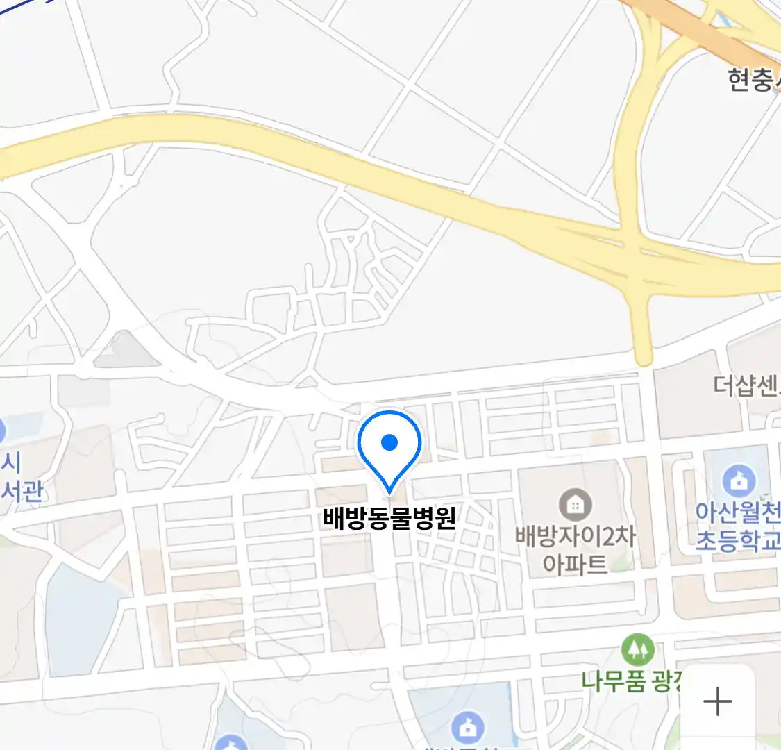 배방동물병원