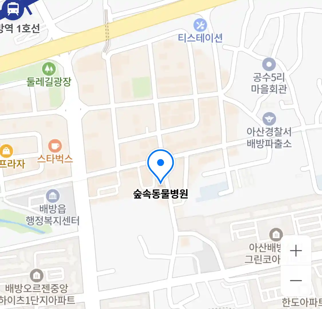 숲속동물병원