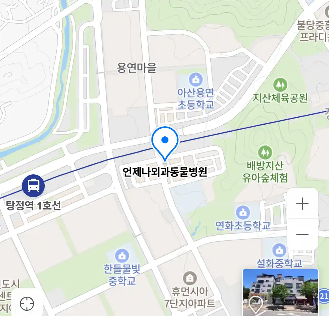언제나외과동물병원