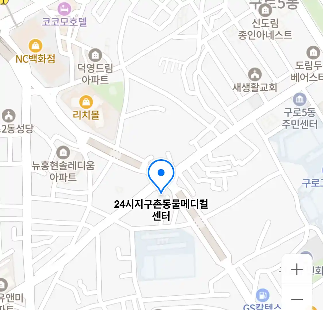 24시지구촌동물메디컬센터
