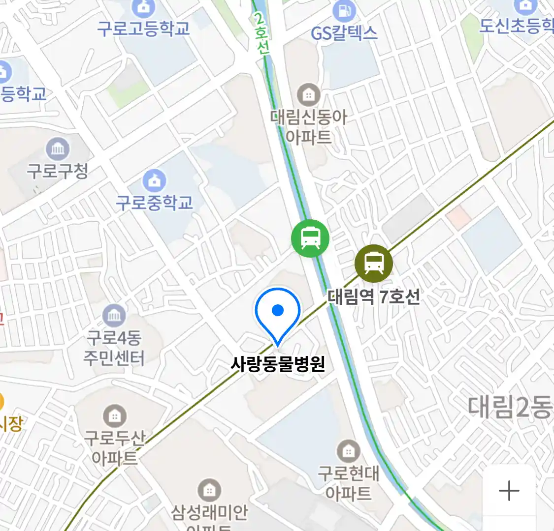 사랑동물병원
