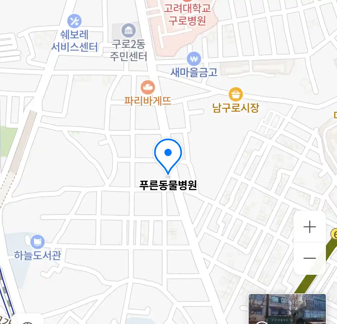 푸른동물병원