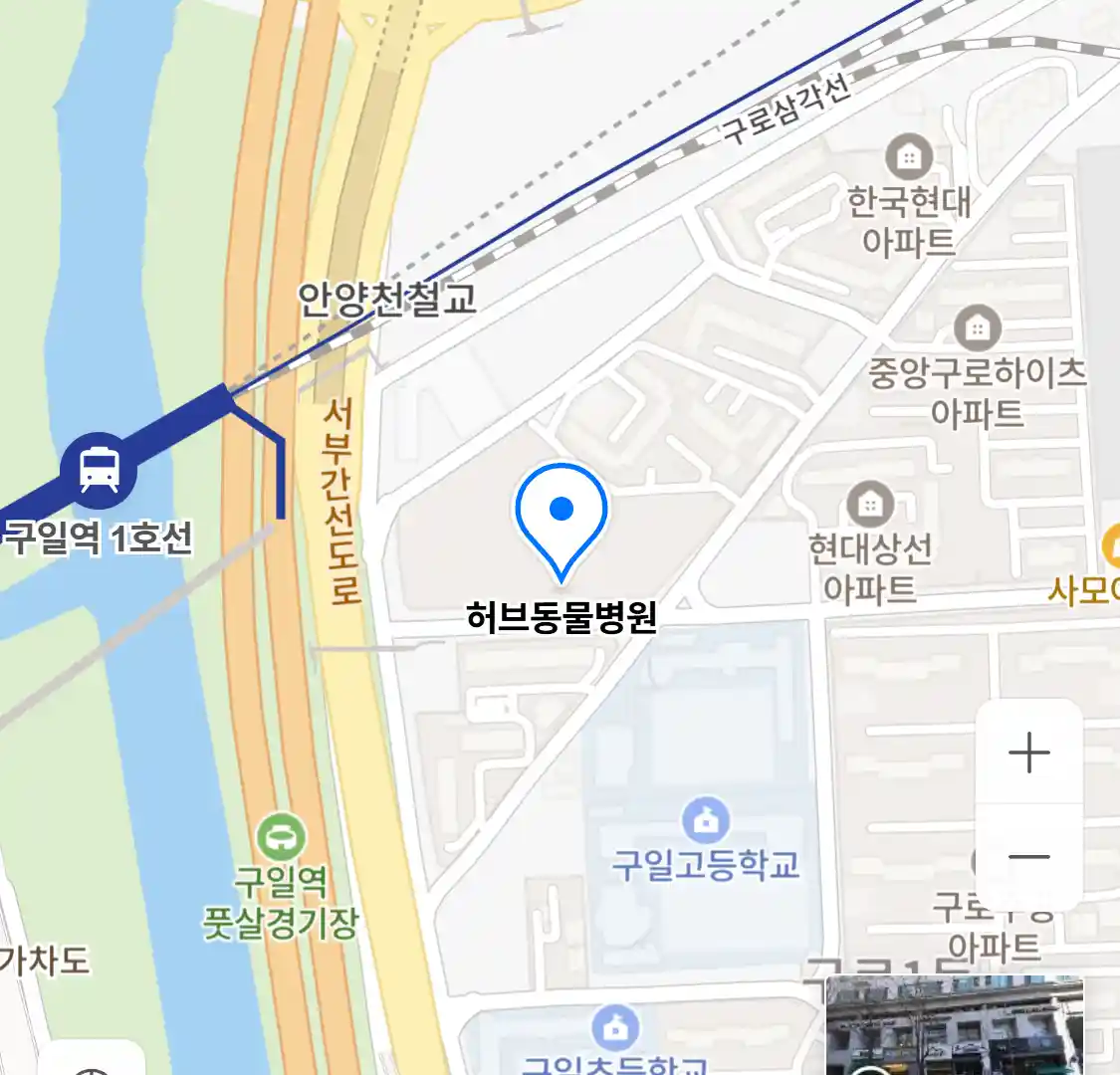 허브동물병원