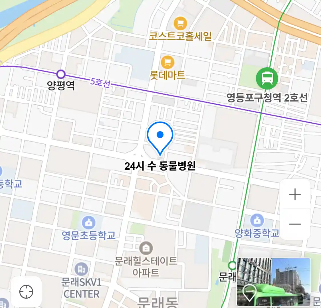 24시 수 동물병원 위치