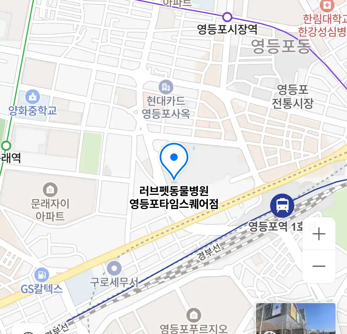 러브펫동물병원 영등포타임스퀘어점 위치