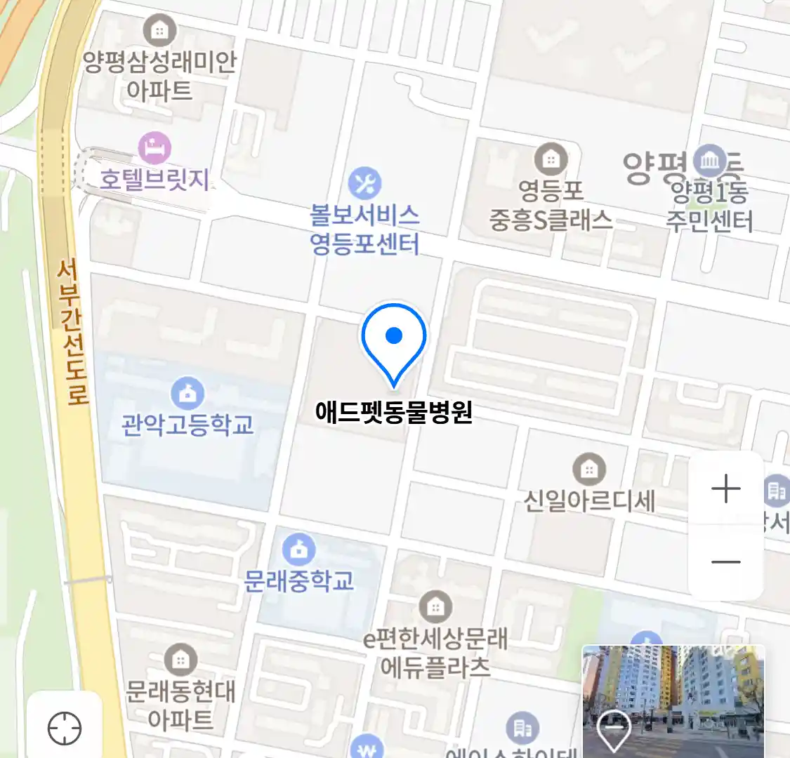 애드펫동물병원 위치
