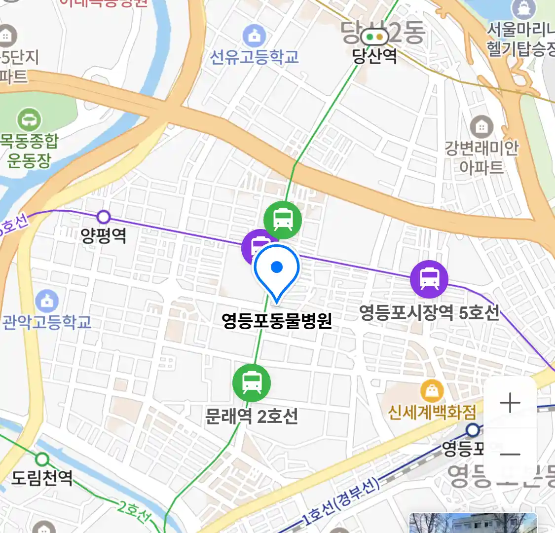 영등포동물병원 위치
