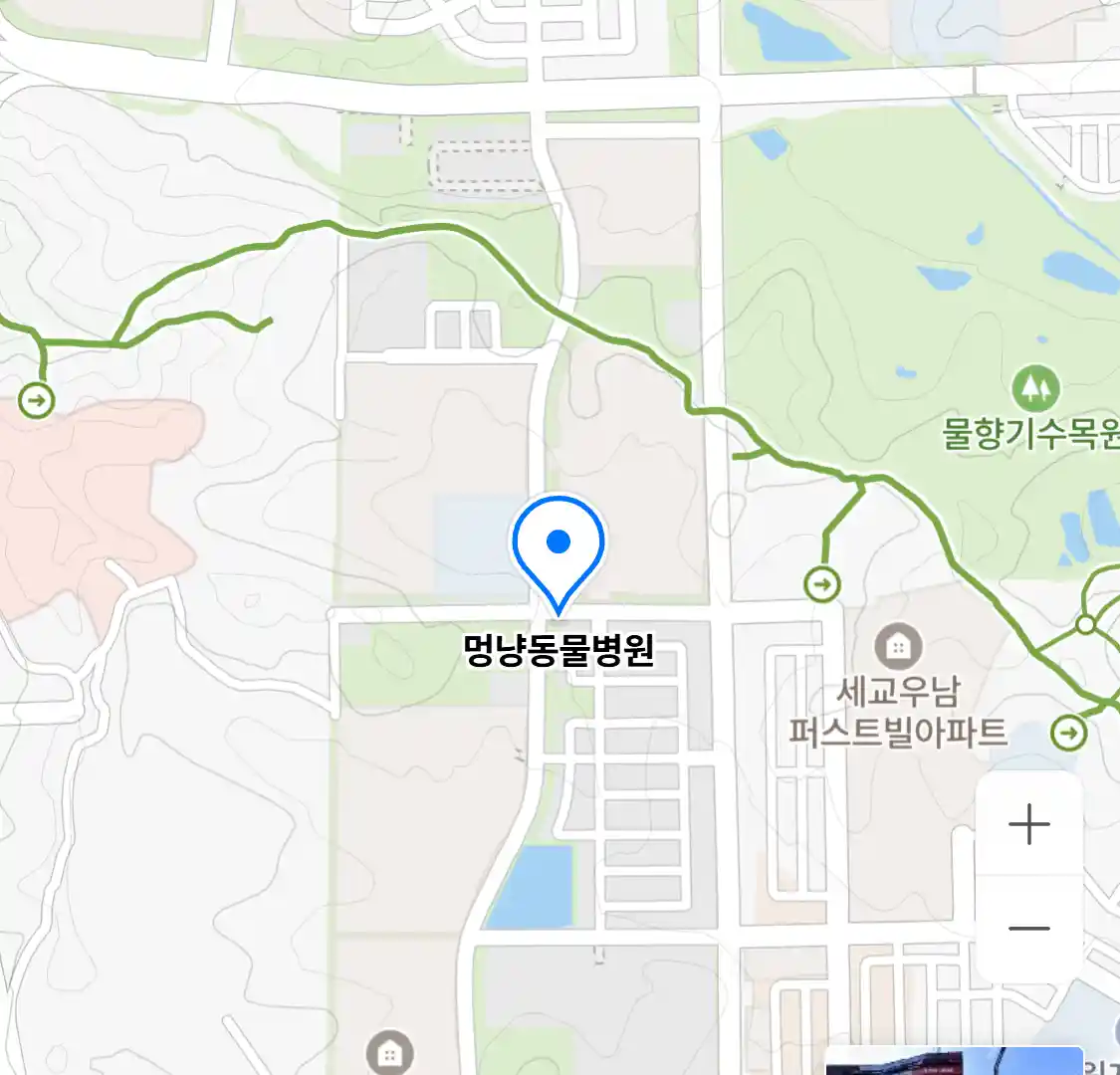 멍냥동물병원 위치