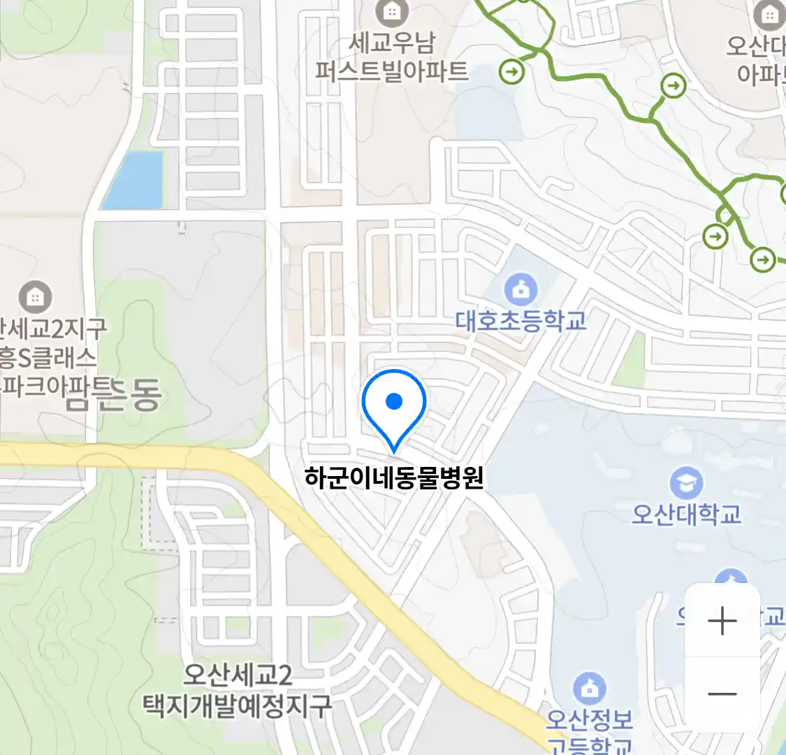 하군이네동물병원 위치