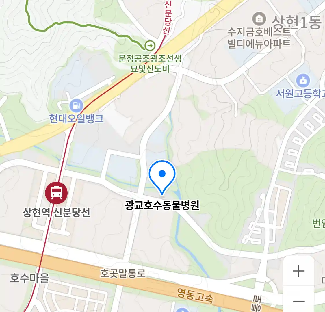 광교호수동물병원 위치