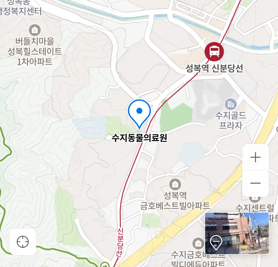 수지동물의료원 위치