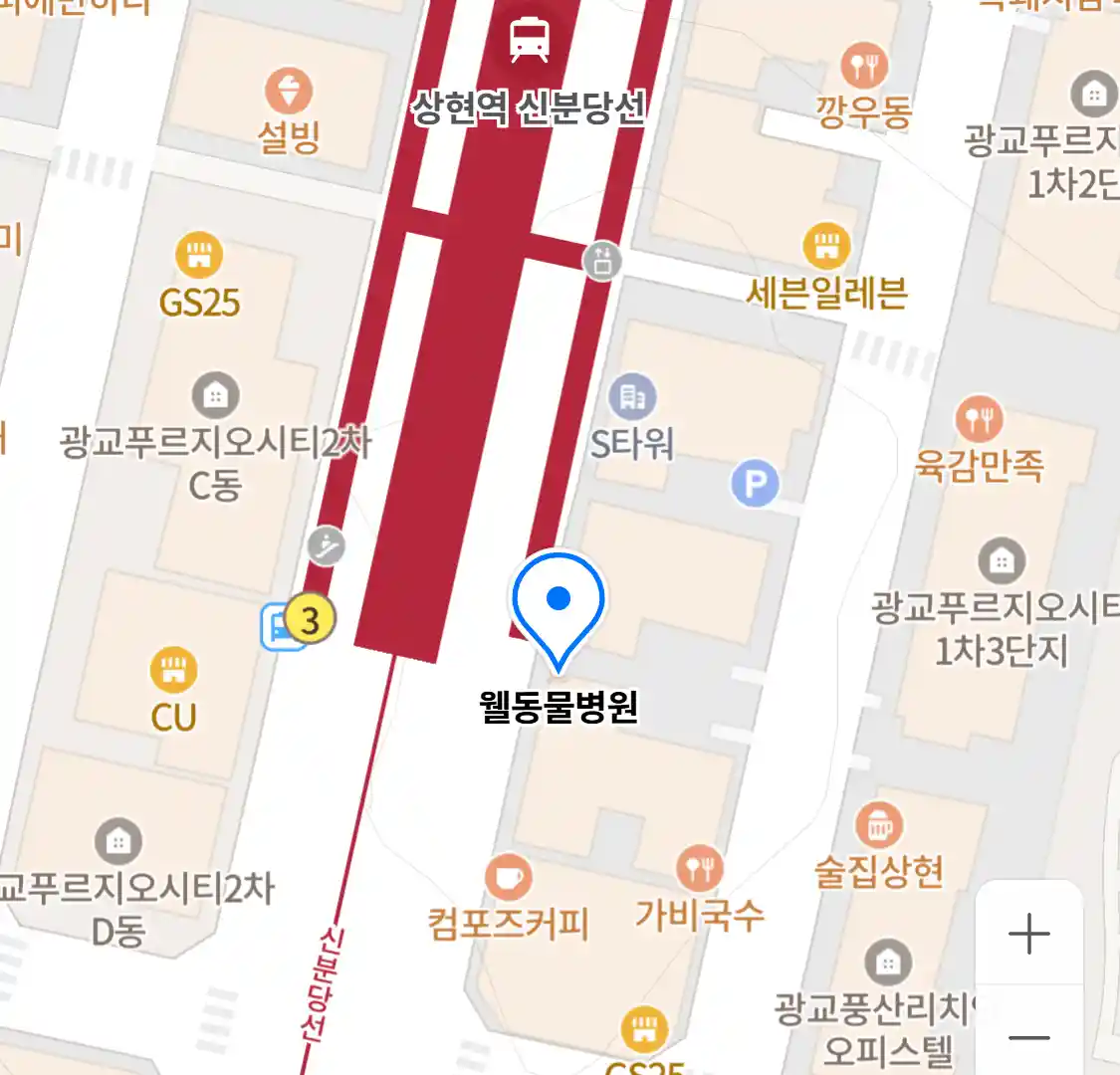 웰동물병원 위치