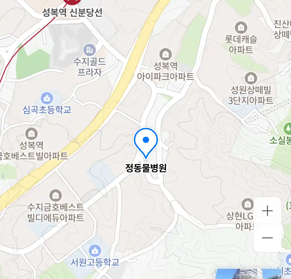 정동물병원 위치