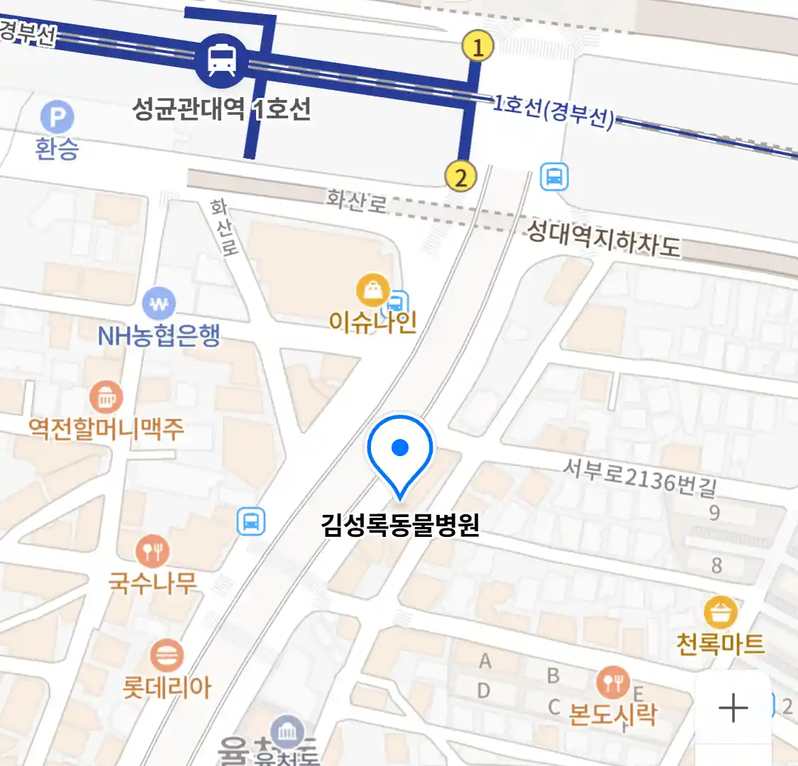 김성록동물병원 위치