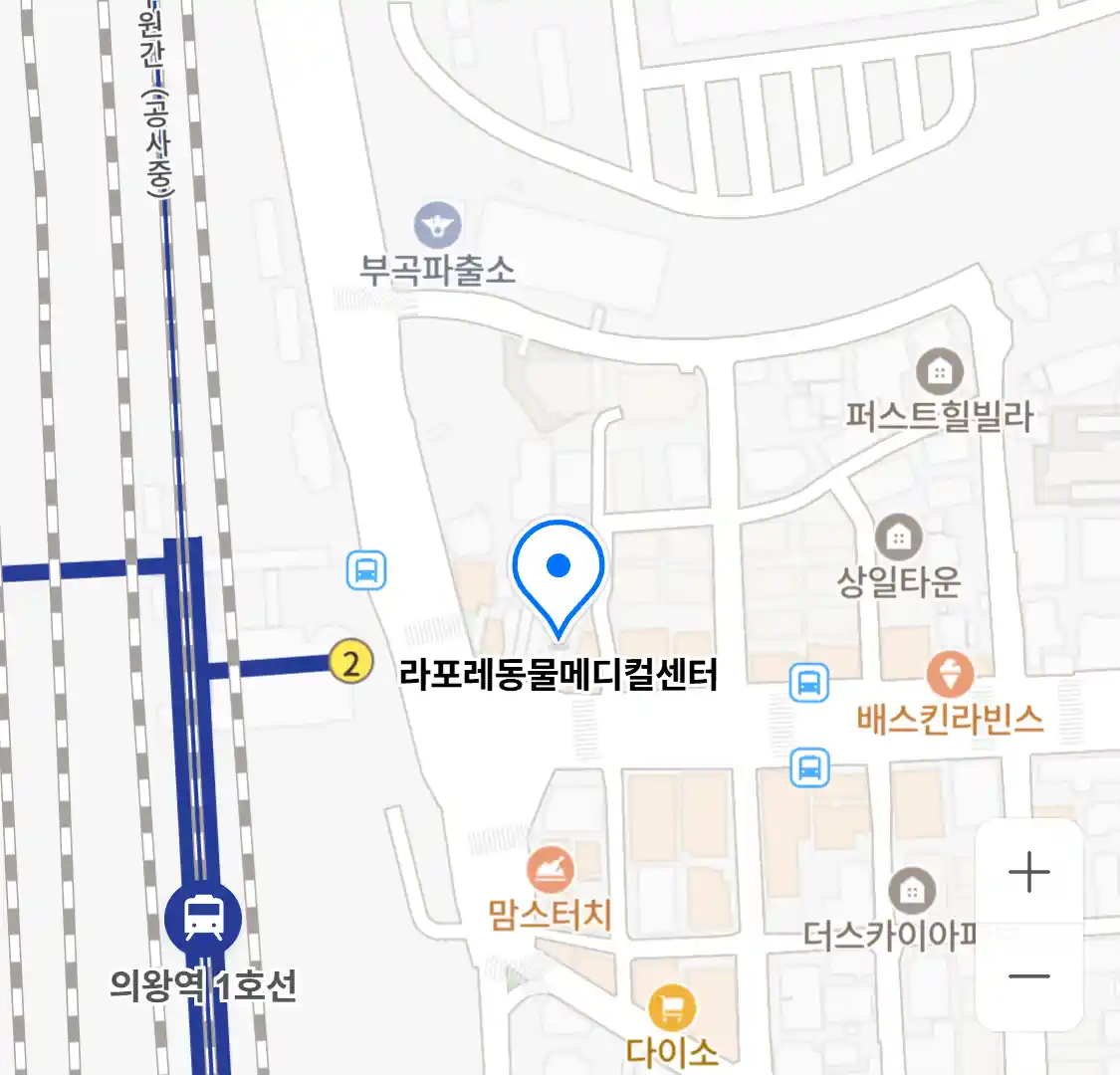 라포레동물메디컬센터 위치