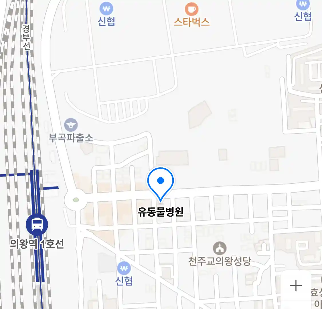 유동물병원 위치