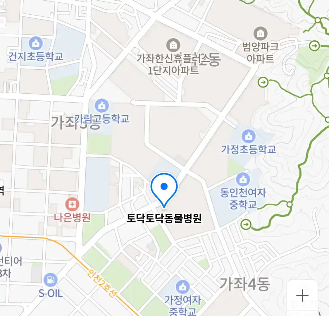 토닥토닥동물병원
