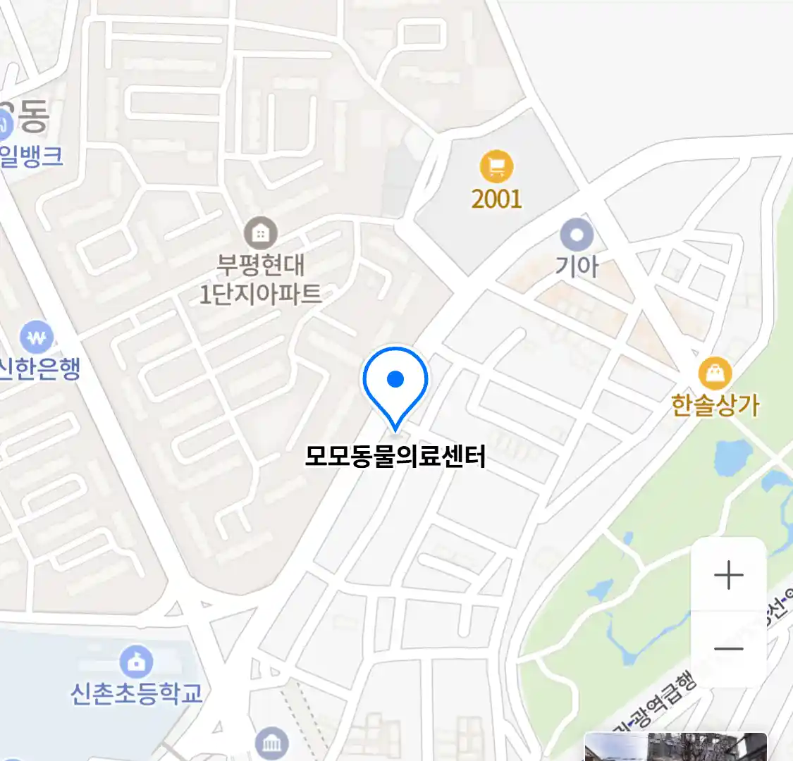 모모동물의료센터