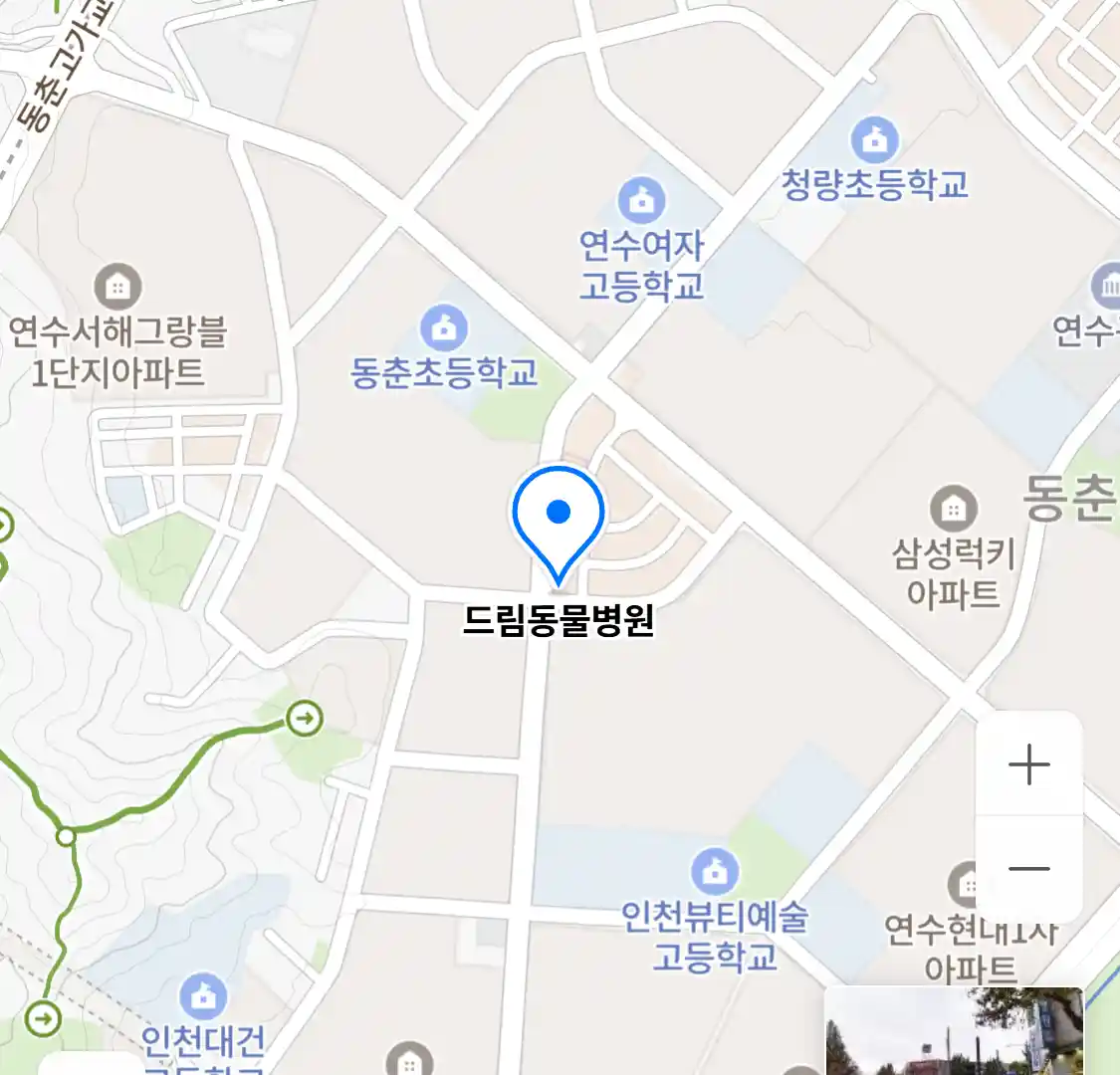 드림동물병원 위치