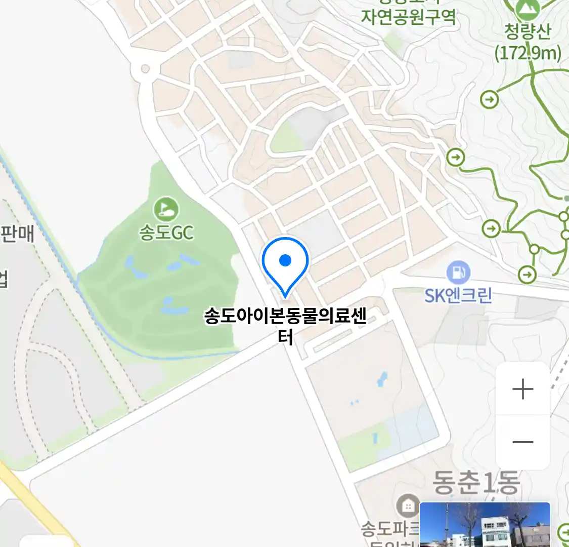 송도아이본동물의료센터 위치