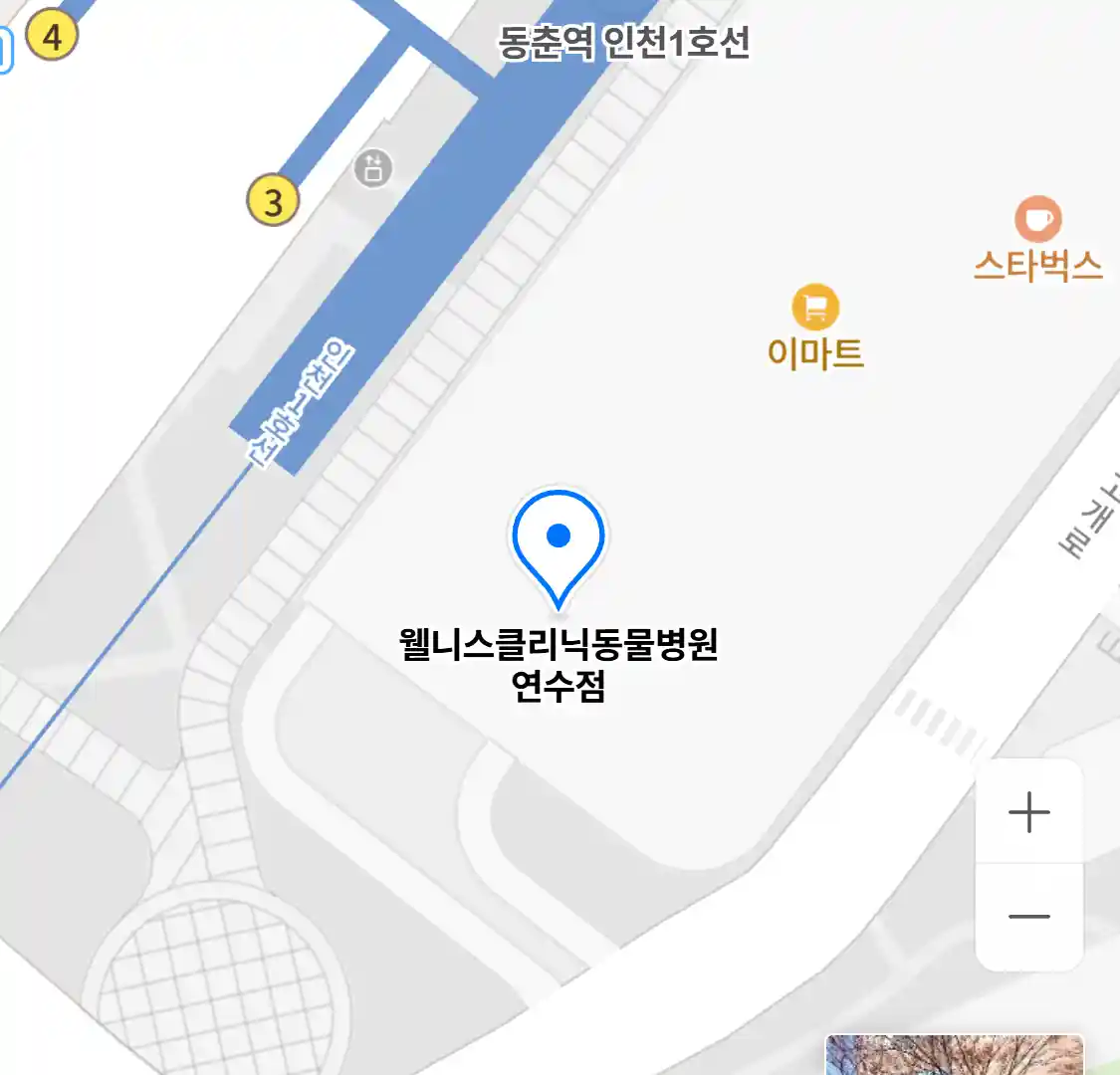 웰니스클리닉동물병원 연수점 위치