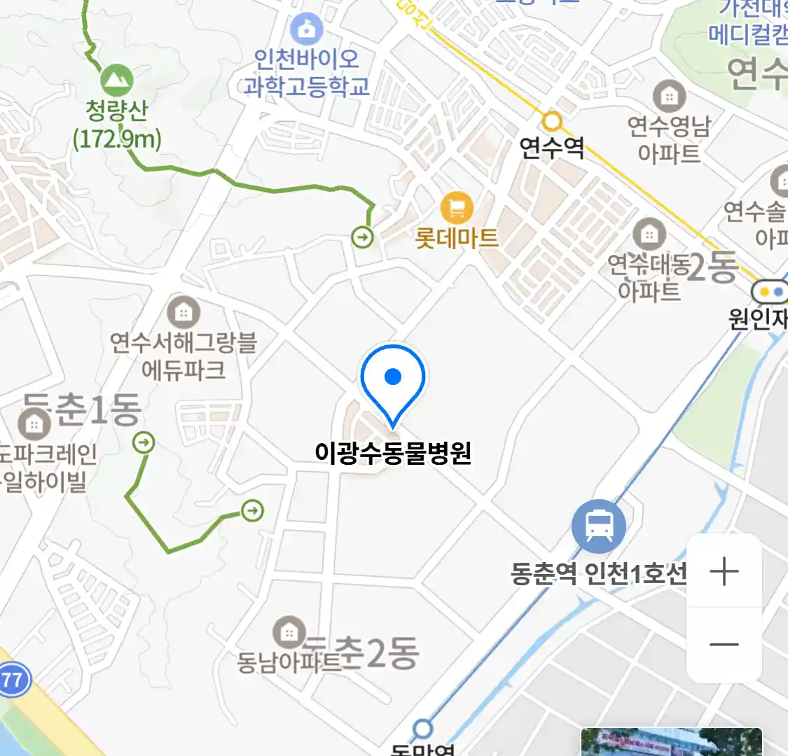 이광수동물병원 위치