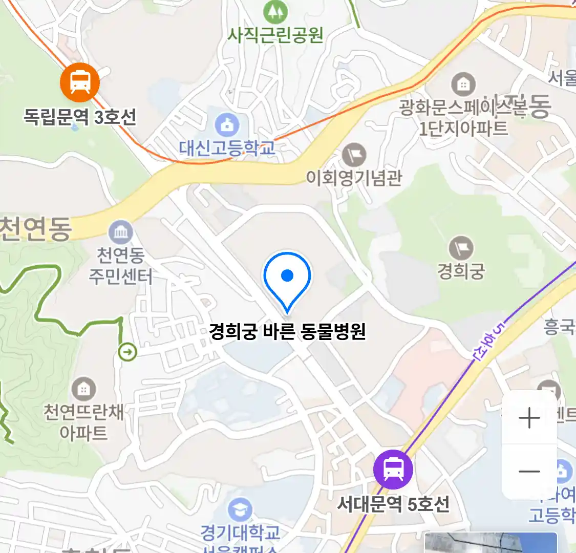 경희궁 바른 동물병원