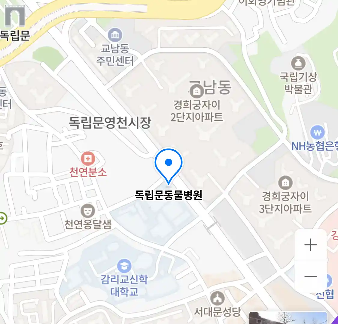 독립문동물병원