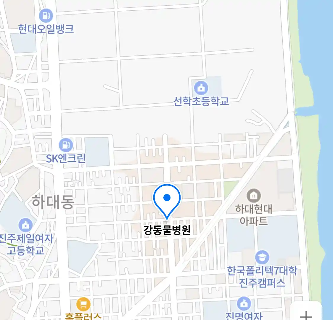 강동물병원