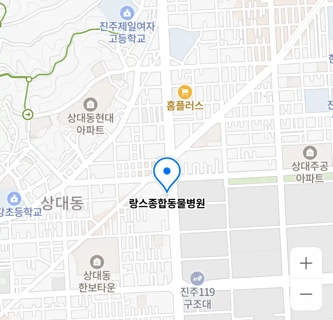 랑스종합동물병원